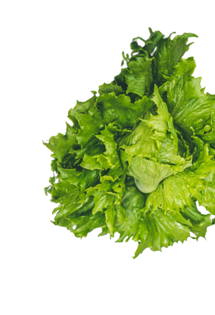 Broccole